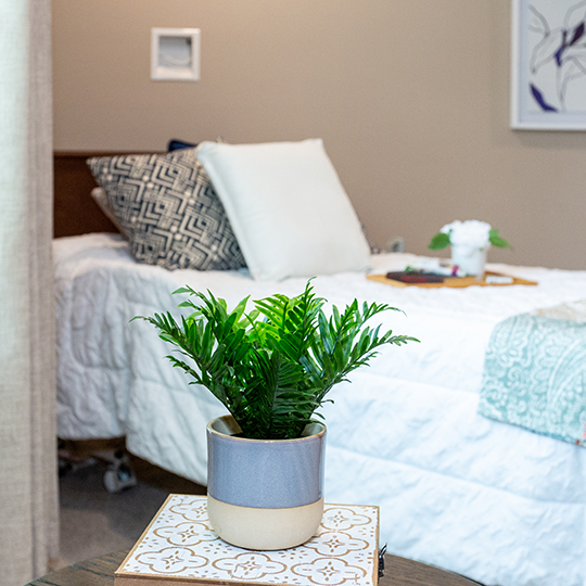 tereashouse-argyle-floodplans-AL-suite104-image