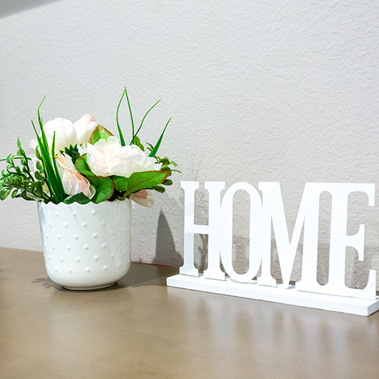 tereashouse-argyle-floodplans-AL-suite111-image