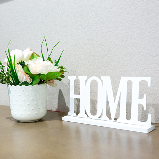 tereashouse-argyle-floodplans-MC-suite203-image